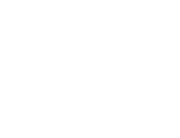 Objektiv Kritique